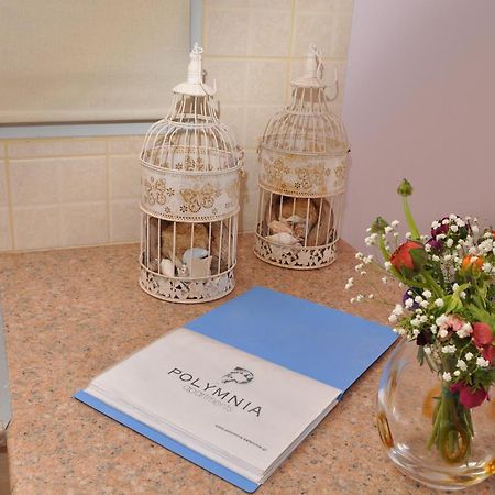לאסי Polymnia Apartments Lassi מראה חיצוני תמונה